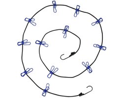 Benson Waslijn incl. 12 knijpers - elastisch van 190 tot 320 cm - met haken