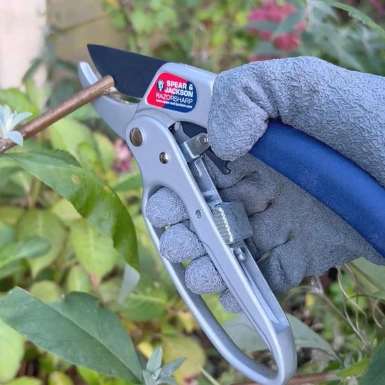 Snoeischaar met Ratelwerking voor Dikke Takken en Houtachtige Stengels van TalenTools — afbeelding 4