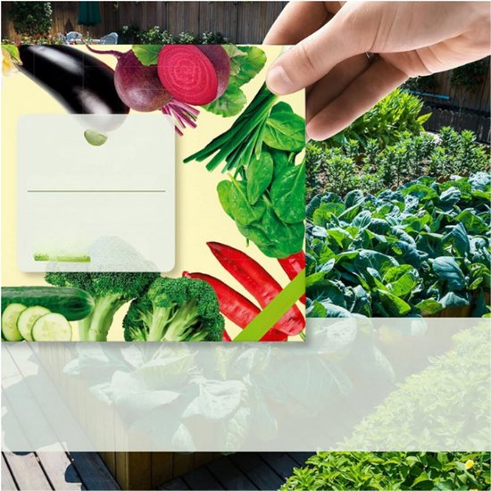 Komkommer | Diana's mooie moestuin