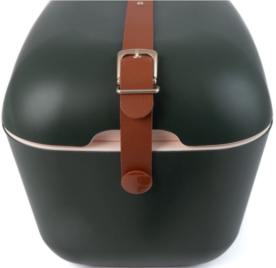 Polarbox Green Forest Gold, Thermische doos, 20 l, Goud, Groen, Polystyreen, 447 mm, 302 mm van Polarbox — afbeelding 2