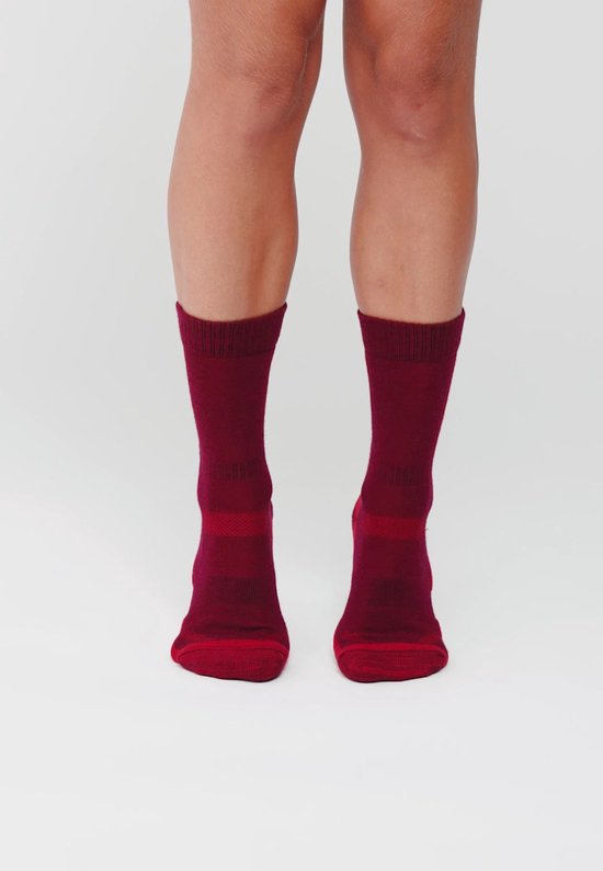 DANISH ENDURANCE Wandelsokken - Ademend Merino Wol met Blarenbescherming - Unisex - 3 Paar - Maat 39-42