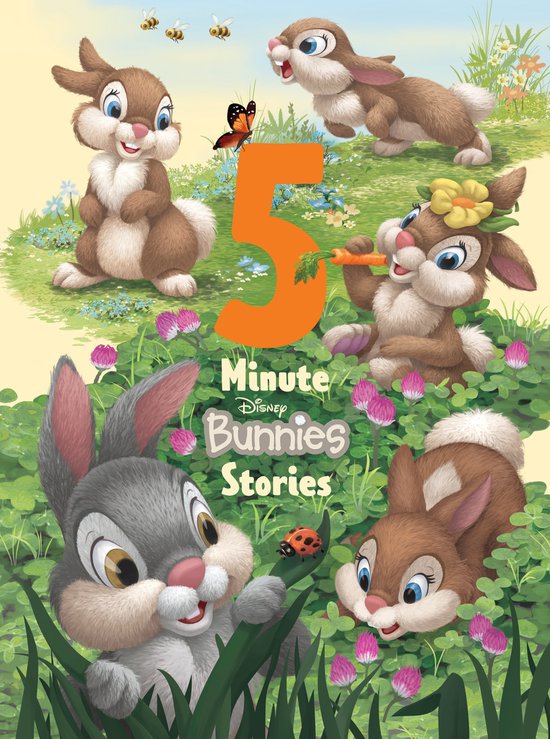Boek met de titel "5 Minute Disney Bunnies Stories" met vijf konijnen in een veld.