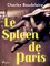 livre numérique