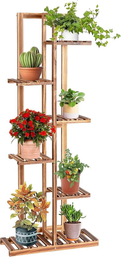 Top 10 beste plantenrekken binnen | Beste plantenrek binnen van 2026