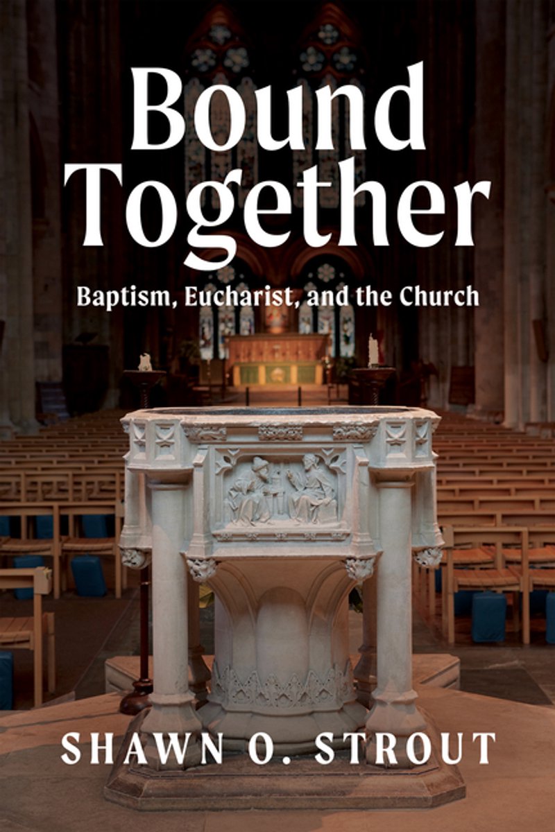 Bound Together van Shawn O Strout