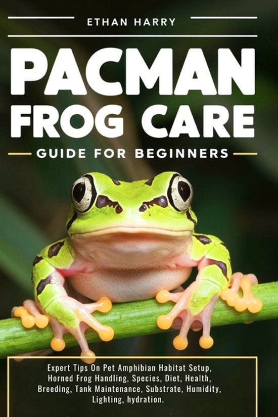 Pacman Frog Care Guide for Beginners
