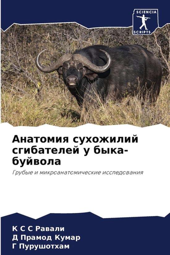 Анатомия сухожилий сгибателей у  ... - cover