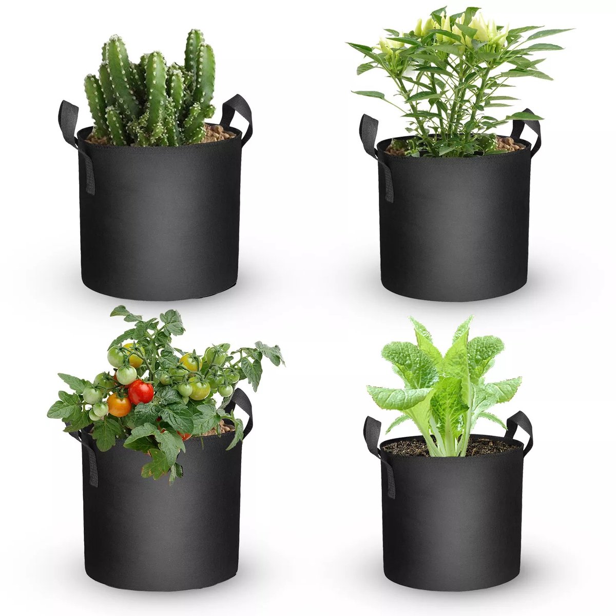 Plantenzakken Set Mars Hydro – 5x 19L Grow Bags – Kweekzakken voor Planten – 30x25cm – Ademend Textiel – Herbruikbare Kweekcontainers – Ideaal voor Binnen- en Buitenteelt van Groenten, Bloemen en Kruiden