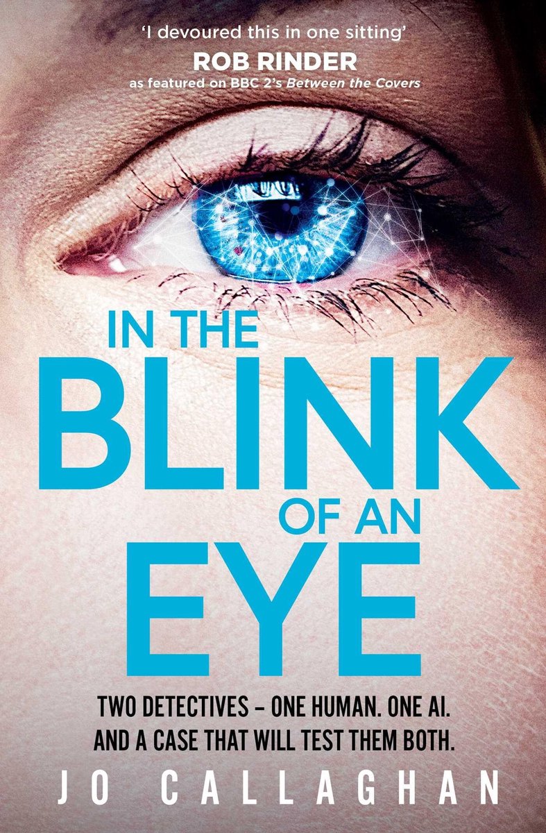 In The Blink Of An Eye van Jo Callaghan