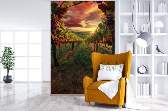 Behang - Fotobehang Wijngaard - Druiven - Zonsondergang - Breedte 200 cm x hoogte 300 cm