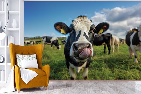 Behang - Fotobehang Koe - Tong - Weide - Breedte 330 cm x hoogte 220 cm