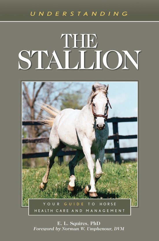 Understanding the Stallion - cover