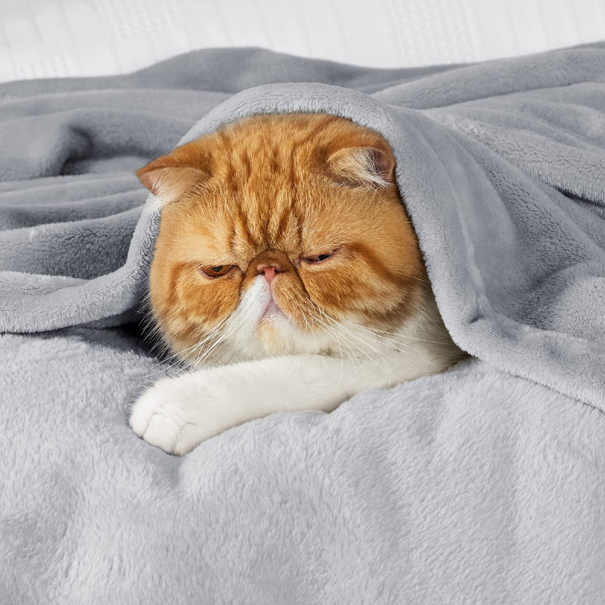 Unyqoos Ultrazachte, Pluizige Flanellen Fleece Deken voor Comfort en Warmte lichtgrijs