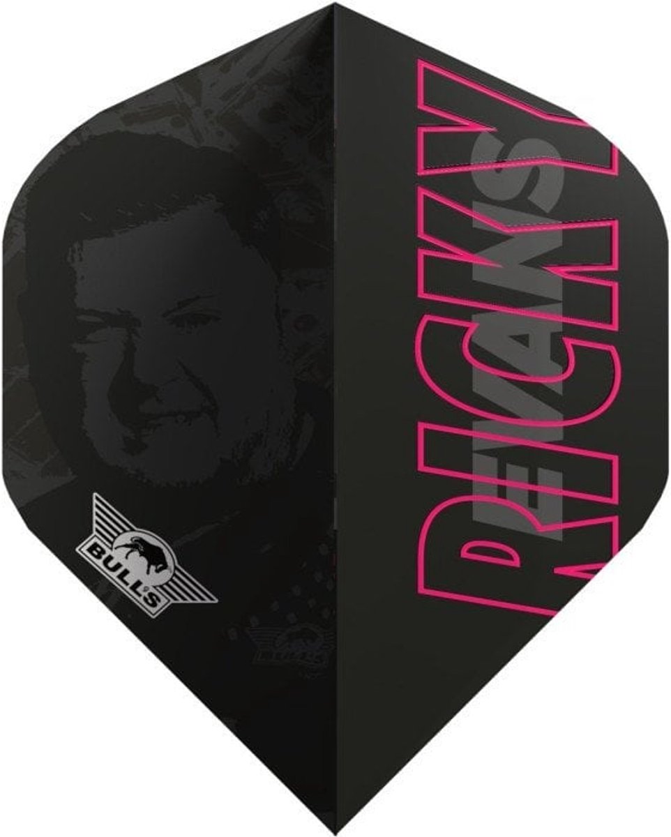 Bull's Ricky Evans 80 E2 NO2 - Dart Flights