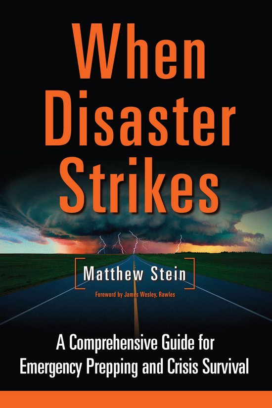 When Disaster Strikes - cover