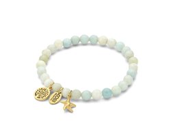 CO88 collection - 8CB-90974 - Dames Armband Amazoniet Bedels - Stainless Steel Cadeau