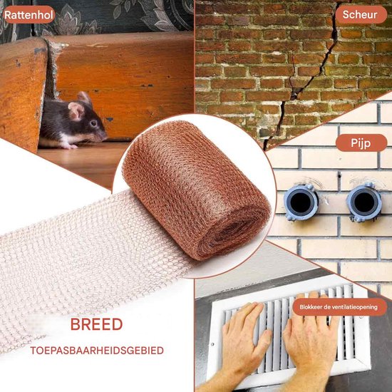 Slakken Bestrijden? Ontdek Waarom Kopergaas de Beste Oplossing Is Slakken Bestrijden? Ontdek Waarom Kopergaas de Beste Oplossing Is