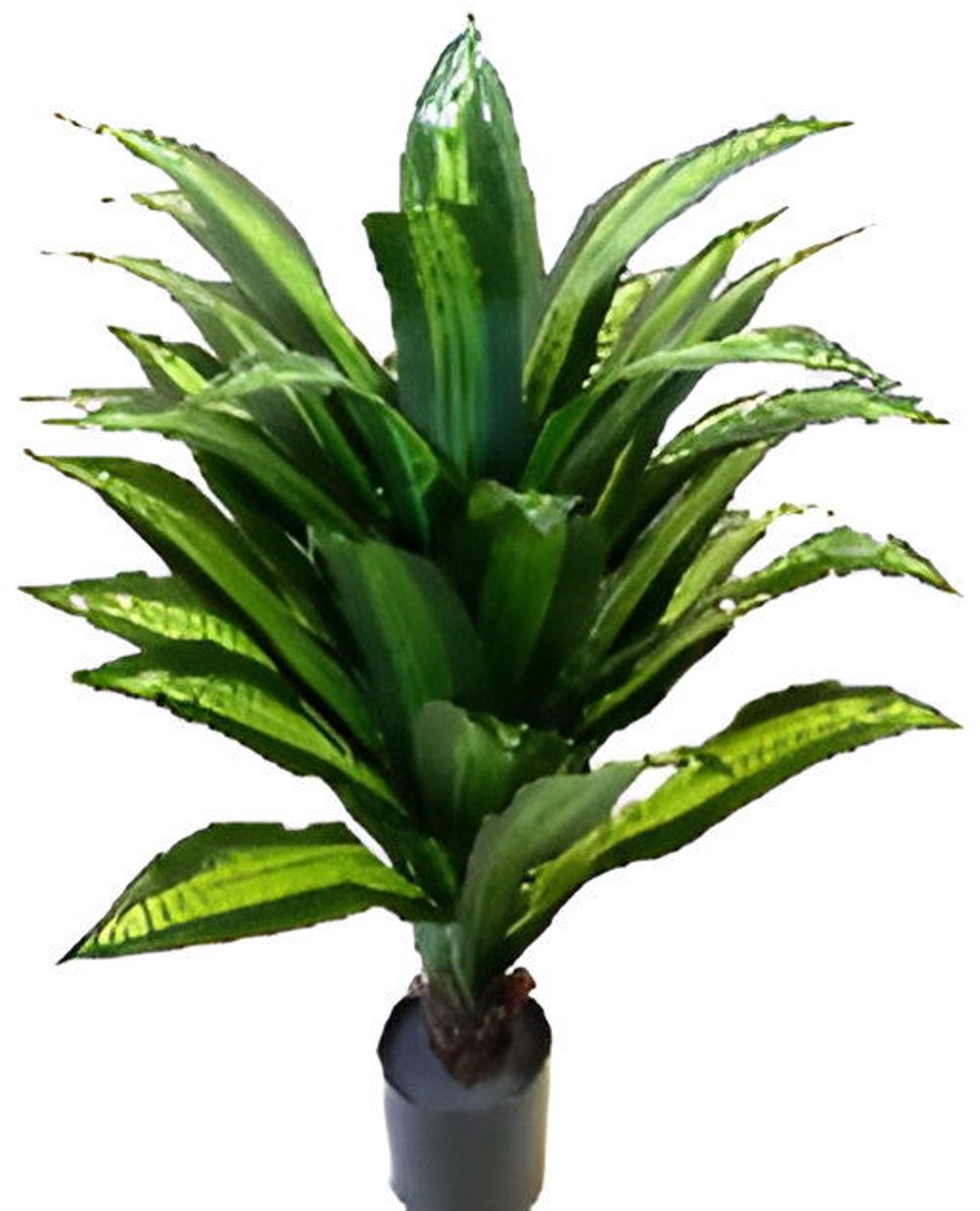 Oosterik home - Dracaena groen 100 cm kunstplant Oosterik Home