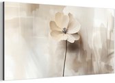 160 cm x 80 cm