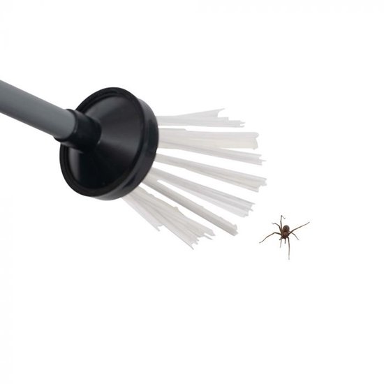 Een grijze steel met zwarte houder en witte borstelharen, met een spin op witte achtergrond.