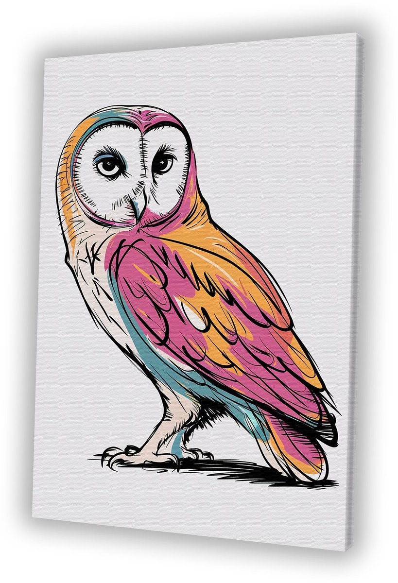 Digitale kunst van kleurrijke uil - Uil schilderij op canvas - Muurdecoratie canvas dier -