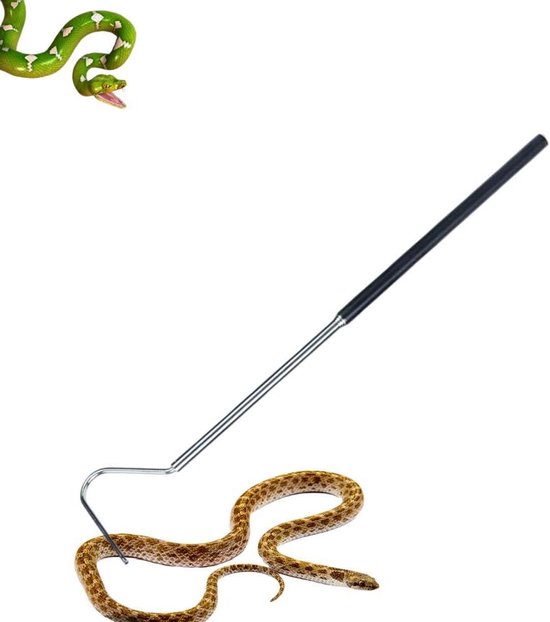 Oude Netten Voor Het Vangen Van Vissen Stock Foto - Image of voedsel