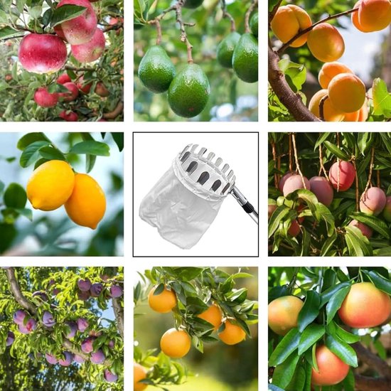 Fruitplukker met telescopische steel - Fruitplukker van 2 m - Montage in 5 delen - Gereedschap voor het plukken van kersenfruit - Met lichte, verstelbare steel en opbergzak voor fruit - Voor het plukken van peren, citroenen en sinaasappels van Merkloos	 — afbeelding 3
