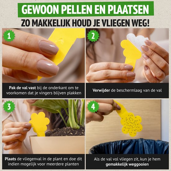 Stapsgewijze instructies voor het gebruik van gele, bloemvormige vliegenvangers. Handen pakken, verwijderen, plaatsen in plant en weggooien.
