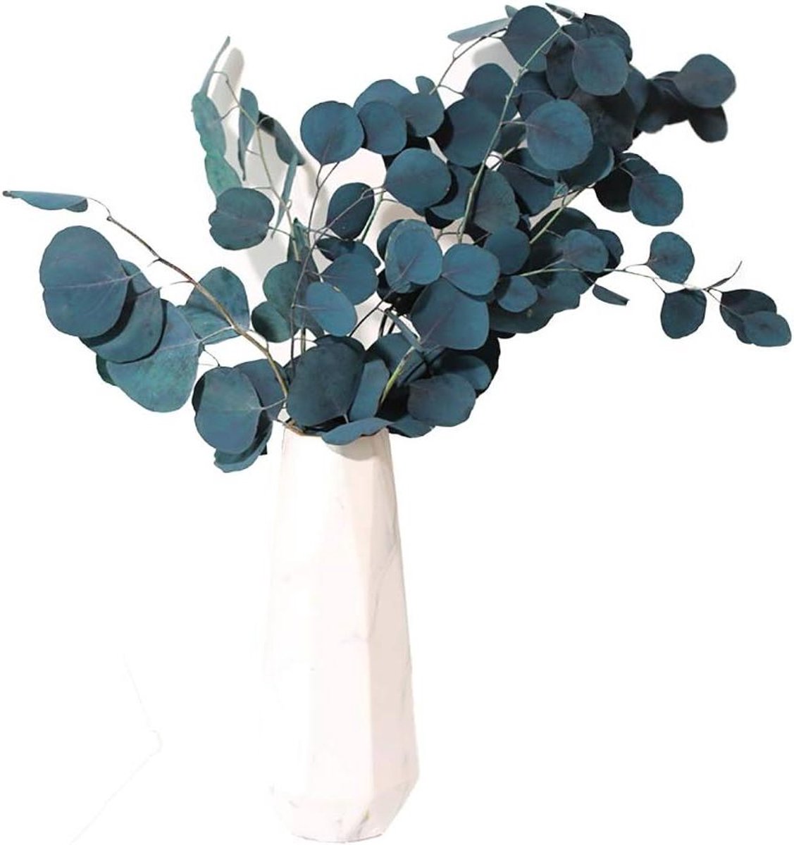 Titel: 40 * 20 * 5 Gedroogde Blauwe Bloemen Eucalyptus Gedroogde Bloemen Eeuwige Houdbaarheid Gedroogde Bloem Boeket Decoratie Thuis Woonkamer Decor (Blauw)