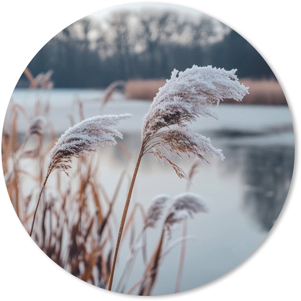 Muismat rond 20x20 cm - Mousepad Riet - Gras - Natuur - Winter - Meer - Ronde muismatten