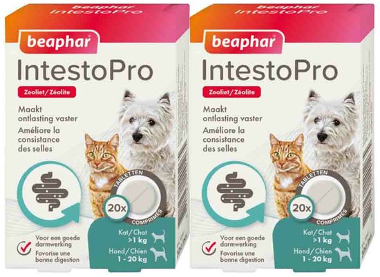 Beaphar IntestoPro Kat - Hond tot 20 kg - 2 x 20 tabletten - Voordeelverpakking