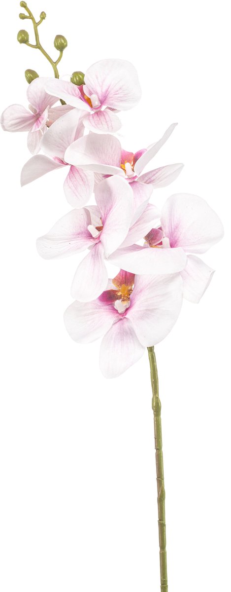 Emerald Kunstbloem Phalaenopsis roze 84cm - Kunstplant voor binnen