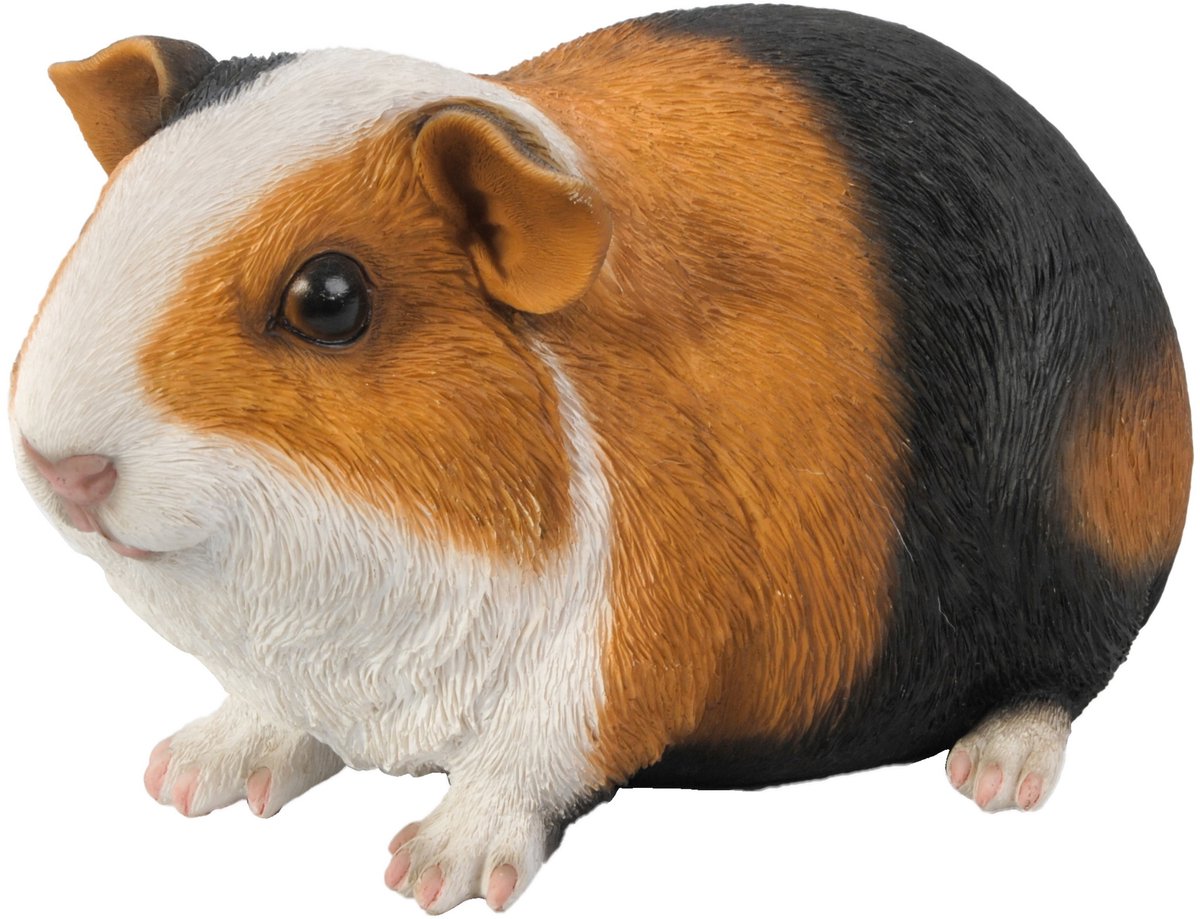 HotAnt Tuinbeeld dieren - Cavia bruin-zwart (Polystone) - Voor buiten - Tuin decoratie - Cadeau