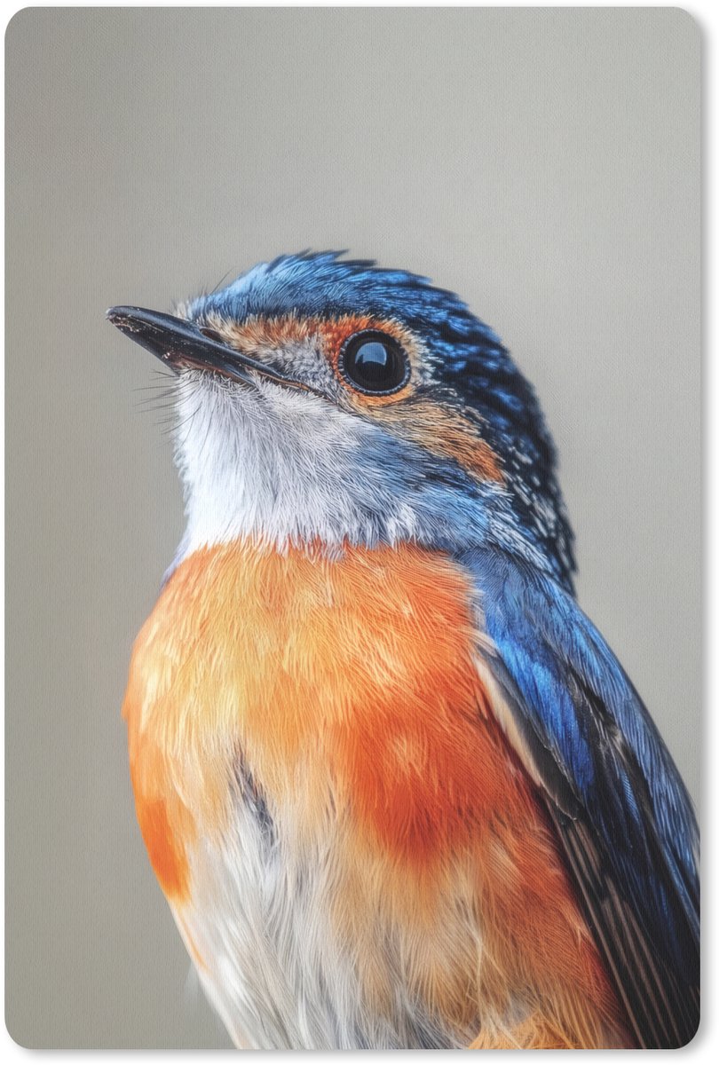 Muismat 18x27 cm - Mousepad Kleurrijk - Vogeltje - Veren - Blauw - Muismatten