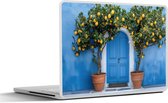Laptop sticker - 14 inch - Citroenbomen - Geel - Deur - Potten - 32x5x23x5cm - Laptopstickers - Laptop skin - Cover