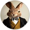 Konijn, Hyperrealisme, Dier, Bruin, wit, zwart, geel, grijs