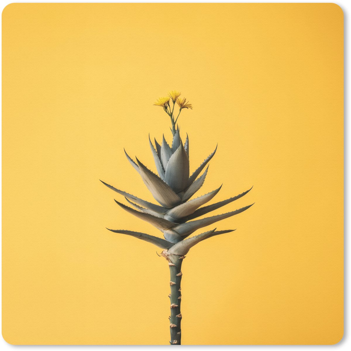 Muismat XXL 60x60 cm - Bureau onderlegger - Bureau mat Plant - Minimalistisch - Bloem - Geel - Bureaumat - Gaming mousepad xl - Bureaulegger groot - Computer deskmat