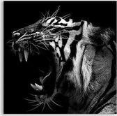 Poster Dark Tiger Roar - Plexiglas - Meerdere Afmetingen & Prijzen | Wanddecoratie - Interieur - Art - Wonen - Schilderij - Kunst