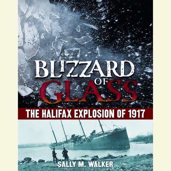 Blizzard of Glass - cover
