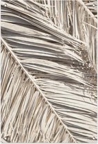 Dried Palm Leaf 1 Tuinposter (60x90cm) - Wallified - Tekst - Zwart Wit - Poster - Wall-Art - Woondecoratie - Kunst - Posters  - Wallified - Tuinposter - Tuindoek - Poster Buiten - Tuin decora