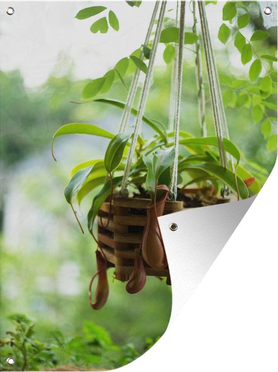 output Afname het doel Tuin decoratie Hangplant met vleesetende planten - 30x40 cm - Tuindoek -  Buitenposter | bol.com