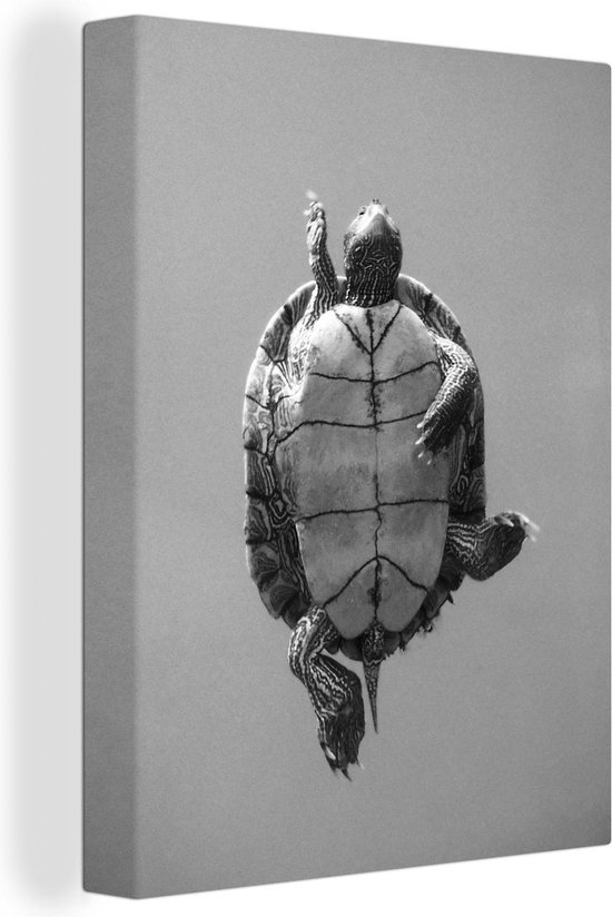 Tortue du bas en toile noir et blanc 2cm 30x40 cm petit Tirage