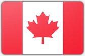 Vlag Canada - 70x100cm - Polyester