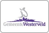 Vlag gemeente Westerveld - 70 x 100 cm - Polyester
