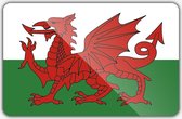 Vlag Wales - 70 x 100 cm - Polyester