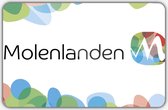 Vlag gemeente Molenlanden - 150 x 225 cm - Polyester