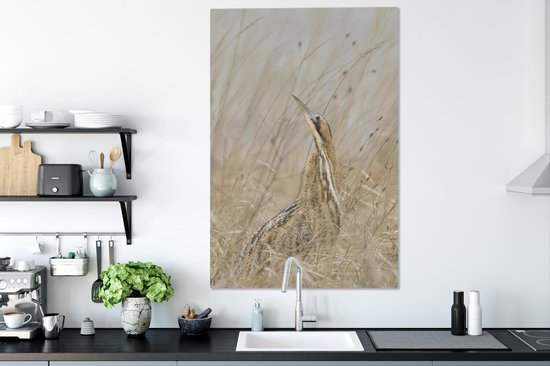 Un butor parmi les hautes herbes Toile 90x140 cm - Tirage photo sur toile (Décoration murale salon / chambre)