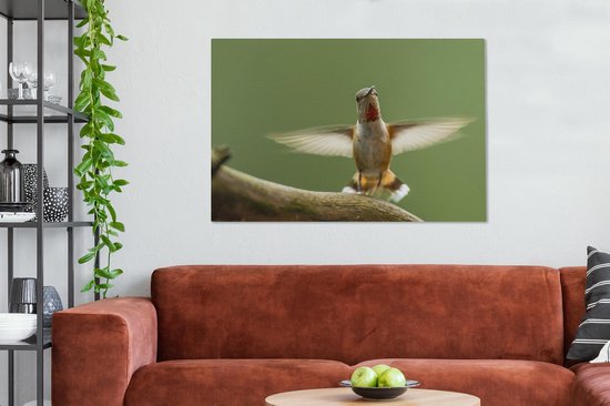 Un colibri calliope sur une branche Toile 140x90 cm - Tirage photo sur toile (Décoration murale salon / chambre)