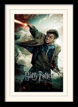 Poster - Harry Potter Mounted & Deathly Hallows Wand - 40 X 30 Cm - Multicolor