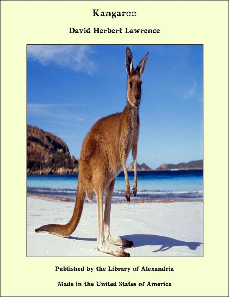 Kangaroo (ebook), Lawrence | 9781465629340 | Boeken | bol.com